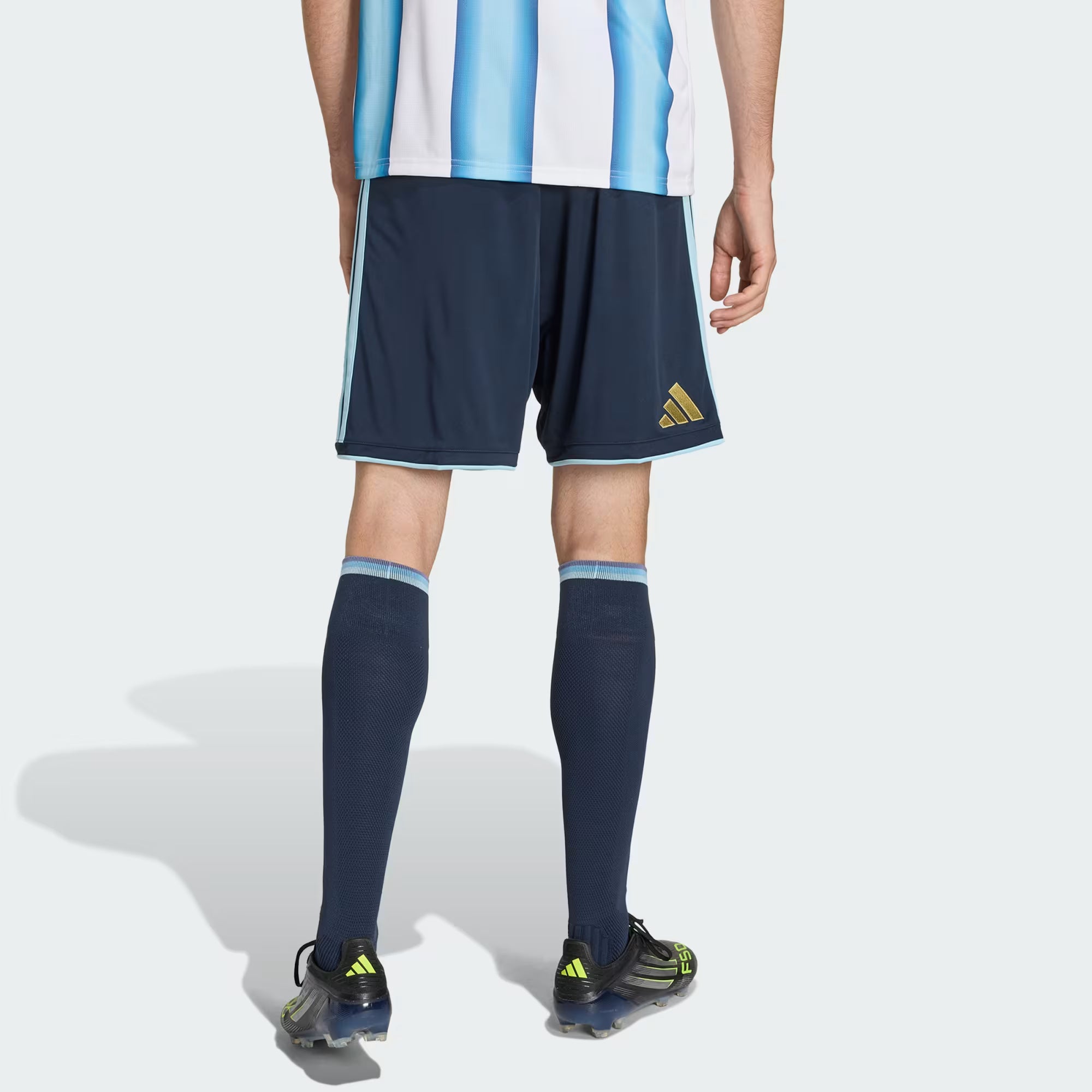 Kurzauftritt Argentiniens bei der Heim-Weltmeisterschaft 2026