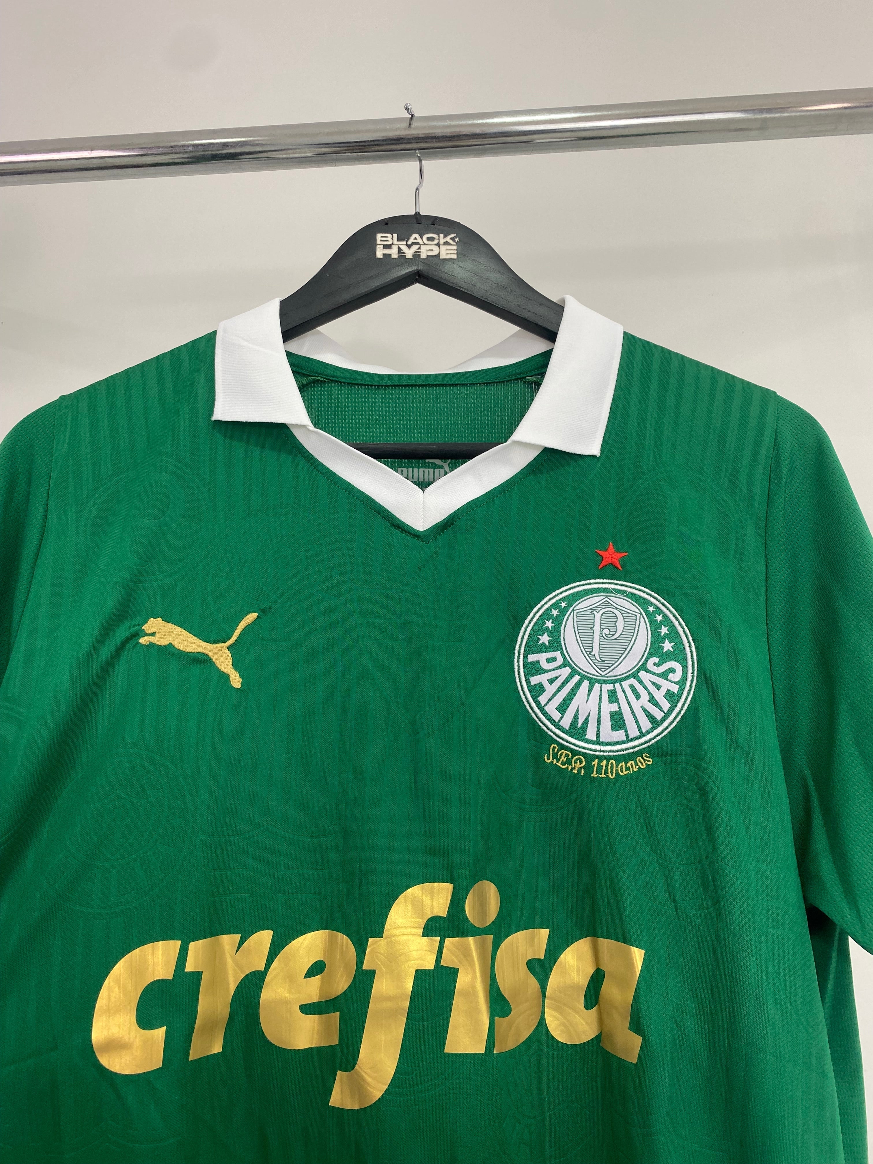 Jersey do Palmeiras Home 24/25 s/n° Torcedor Masculino - Verde