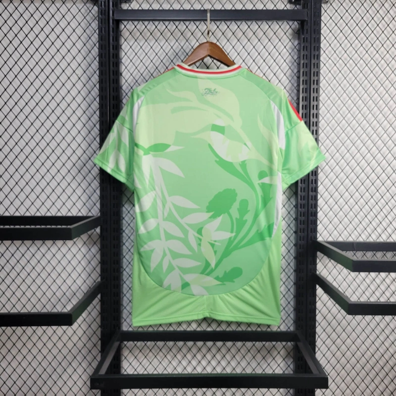 Jersey Italy 25/26 - Green