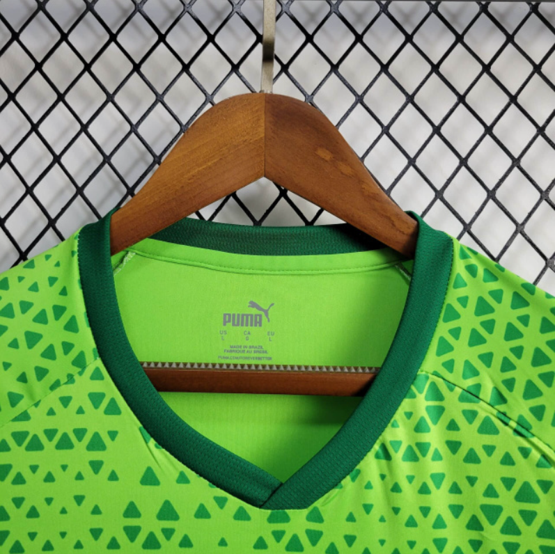 Jersey 24∕25 Palmeiras Treino