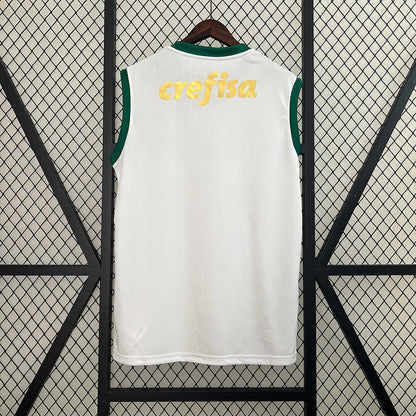 Jersey 24∕25 Vest Palmeiras away